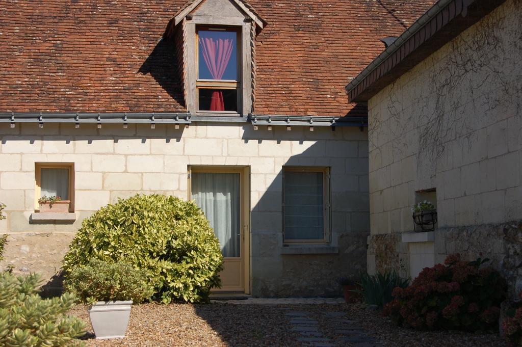 La Grange Dimiere, Pres De Tours Panzió Saint-Genouph Kültér fotó